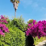 Provençale â Maxime, Golf De Saint Tropez *