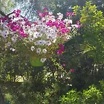 Provençale â Maxime, Golf De Saint Tropez Villa Sainte-Maxime