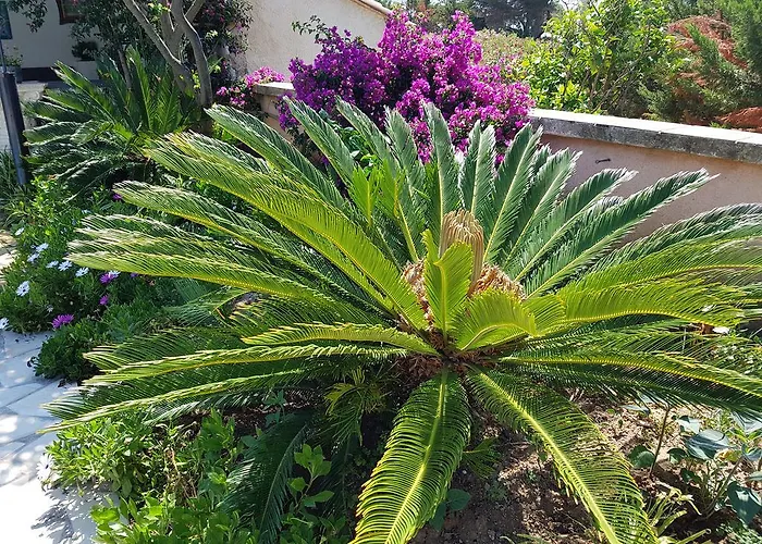 Provencale A Maxime, Golf De Saint Tropez וילה