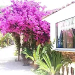 Provencale A Maxime, Golf De Saint Tropez Sainte-Maxime