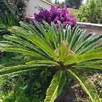Provencale A Maxime, Golf De Saint Tropez Villa