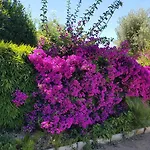 Provencale A Maxime, Golf De Saint Tropez Villa *