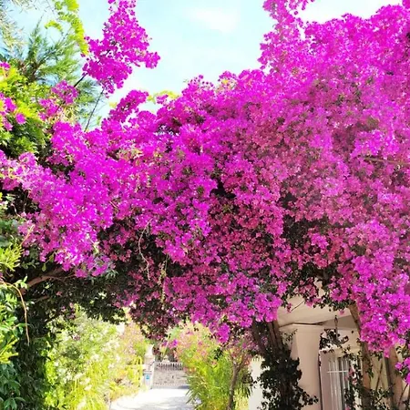 Provencale A Maxime, Golf De Saint Tropez Вілла