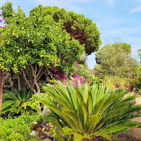 Villa Provencale A Maxime, Golf De Saint Tropez