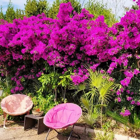 Provencale A Maxime, Golf De Saint Tropez 빌라 *