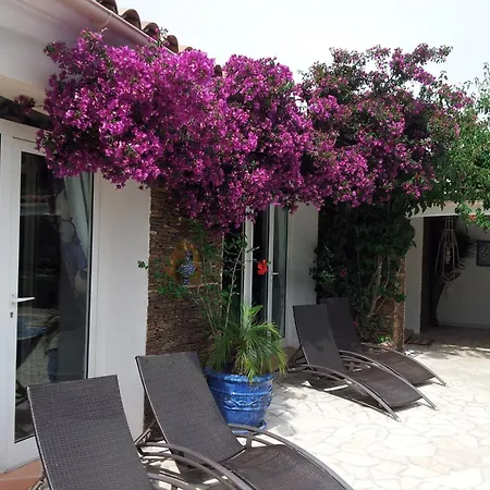 Villa Provencale A Maxime, Golf De Saint Tropez