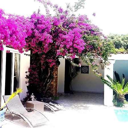 Provencale A Maxime, Golf De Saint Tropez סן-מקסים