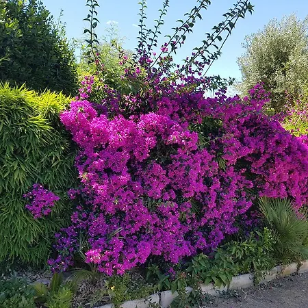 Provencale A Maxime, Golf De Saint Tropez וילה *