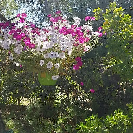 Provencale A Maxime, Golf De Saint Tropez Villa Sainte-Maxime