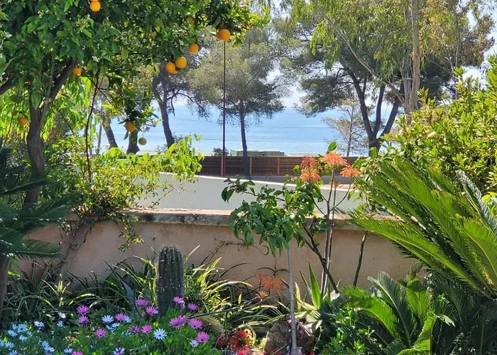 Provencale A Maxime, Golf De Saint Tropez *