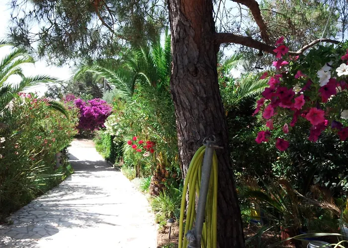 Villa Provencale A Maxime, Golf De Saint Tropez Sainte-Maxime