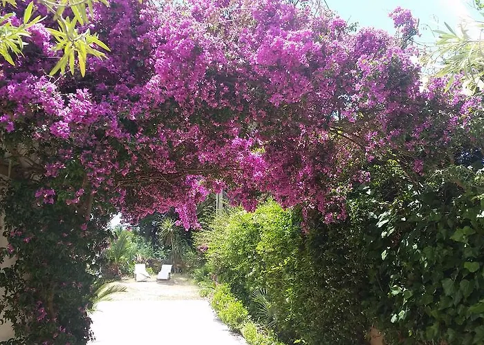 Villa Provencale A Maxime, Golf De Saint Tropez