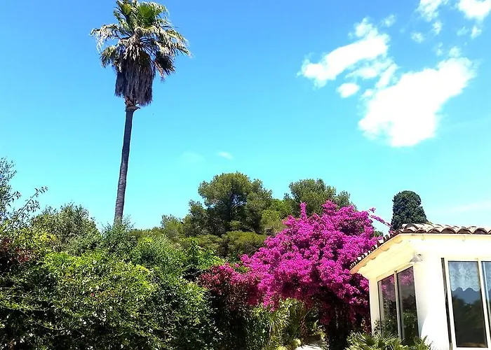 Villa Provencale A Maxime, Golf De Saint Tropez