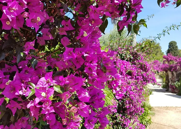 Provencale A Maxime, Golf De Saint Tropez Sainte-Maxime