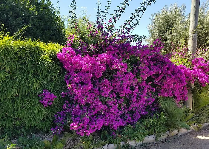 Provencale A Maxime, Golf De Saint Tropez Willa *