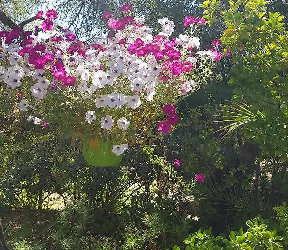 Provencale A Maxime, Golf De Saint Tropez Villa Sainte-Maxime